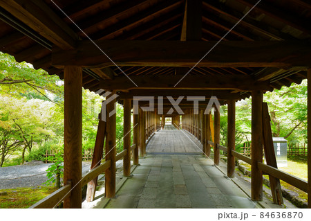 東福寺　通天橋　偃月橋と紅葉の始まり 84636870