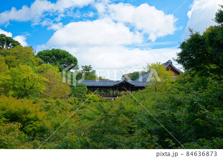 東福寺 通天橋とモミジの紅葉の始まり 東福寺 通天橋とモミジの紅葉の始まり 84636873