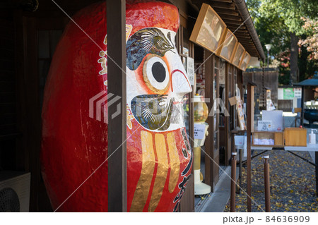 少林山達磨寺　達磨堂の大達磨 84636909