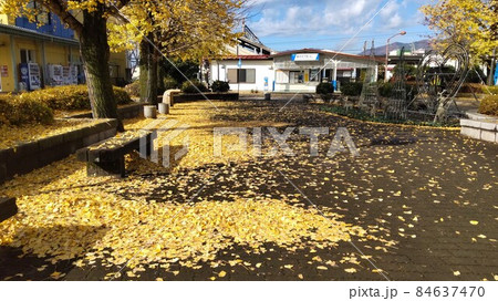 銀杏が黄色く紅葉した東武線「新大平下駅」前のロータリー 銀杏が黄色く紅葉した東武線「新大平下駅」前のロータリー 84637470