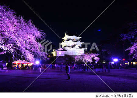 ＜小田原城＞　夜桜と天守閣（ライトアップ）（夜景）　神奈川県小田原市 84638205