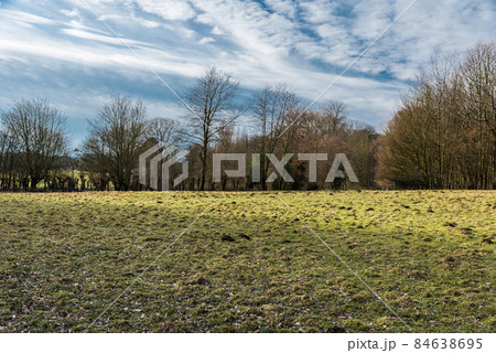 Green meadows with molehills and bare trees in Jette, Brussels, Belgium 84638695