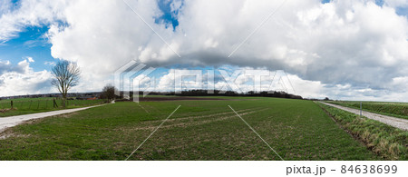 Panoramic view over green meadows around Linter, Flanders, Belgium 84638699