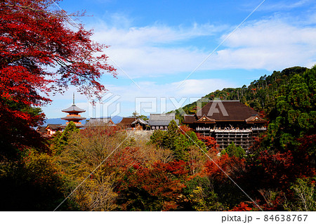 清水寺　紅葉　国宝本堂　三重塔　世界遺産 84638767