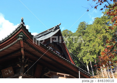 紅葉の札所散策・1(岐阜県揖斐郡揖斐川町谷汲:西国三十三所谷汲山華厳寺) 紅葉の札所散策・1(岐阜県揖斐郡揖斐川町谷汲:西国三十三所谷汲山華厳寺) 84639010