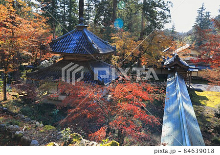 紅葉の札所散策・9（岐阜県揖斐郡揖斐川町谷汲：西国三十三所谷汲山華厳寺） 84639018