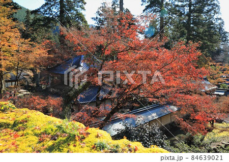 紅葉の札所散策・12(岐阜県揖斐郡揖斐川町谷汲:西国三十三所谷汲山華厳寺) 紅葉の札所散策・12(岐阜県揖斐郡揖斐川町谷汲:西国三十三所谷汲山華厳寺) 84639021