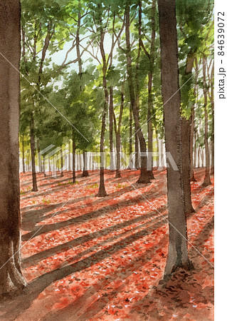 アナログ水彩画雑木林と落ち葉の絨毯のイラスト素材 [84639072] - PIXTA