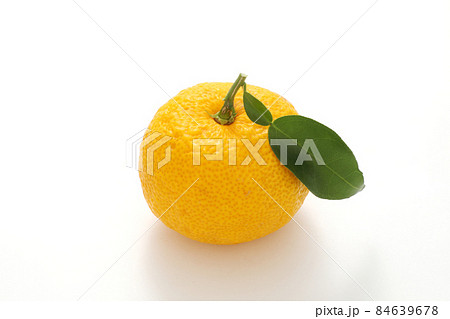 柚子 柚子 84639678