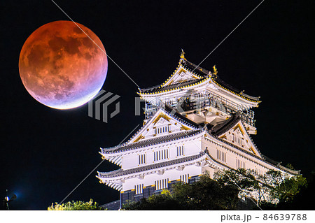 《岐阜県》岐阜城と月食・2021年11月19日 84639788