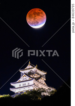 《岐阜県》岐阜城と月食・2021年11月19日 《岐阜県》岐阜城と月食・2021年11月19日 84639795