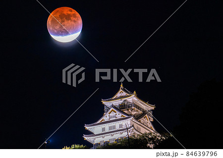 《岐阜県》岐阜城と月食・2021年11月19日 84639796