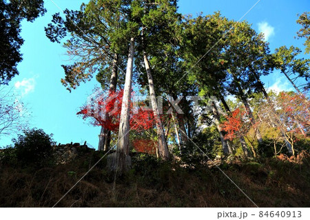 紅葉の札所散策・49(岐阜県揖斐郡揖斐川町谷汲谷汲山華厳寺) 紅葉の札所散策・49(岐阜県揖斐郡揖斐川町谷汲谷汲山華厳寺) 84640913
