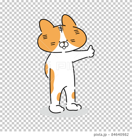 棕色白貓站起來豎起大拇指 84640982