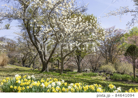 有珠善光寺自然公園 北海道 伊達市 有珠善光寺自然公園 北海道 伊達市 84641094
