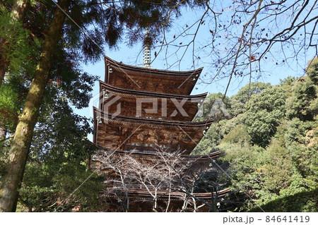 晩秋の山口瑠璃光寺の紅葉の風景 晩秋の山口瑠璃光寺の紅葉の風景 84641419