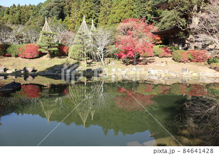 晩秋の山口瑠璃光寺の紅葉の風景 晩秋の山口瑠璃光寺の紅葉の風景 84641428