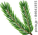 Pine tree branches isolated on white. Vector illustration. 84641935