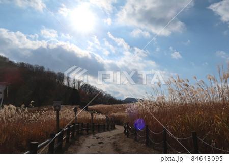 曽爾高原 《奈良県曽爾村・室生赤目青山国定公園》 曽爾高原 《奈良県曽爾村・室生赤目青山国定公園》 84643095