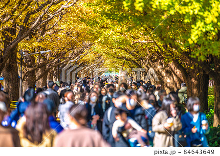 日本の東京都市景観 オミクロン株が世界を震撼…。神宮外苑のいちょう並木は脅威の人流＝11月28日 84643649