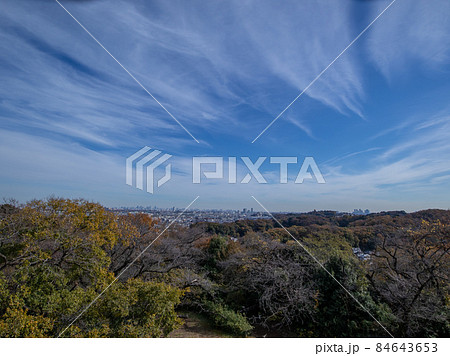 川崎市内から見える都心 高層ビル 川崎市内から見える都心 高層ビル 84643653