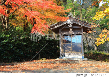 紅葉の札所散策・87(岐阜県揖斐郡揖斐川町谷汲谷汲山華厳寺) 紅葉の札所散策・87(岐阜県揖斐郡揖斐川町谷汲谷汲山華厳寺) 84643767