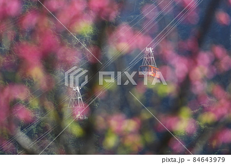 ロープウェイ ケーブルカー ロープウエイ 84643979