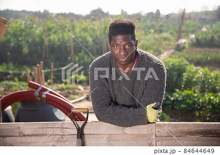 Portrait of a African American man at the fence with a vegetable garden in the background Portrait of a African American man at the fence with a vegetable garden in the background 84644649