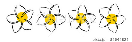 Frangipani or plumeria exotic summer flower. Engraved frangipani isolated in white background. Vector illustration Frangipani or plumeria exotic summer flower. Engraved frangipani isolated in white background. Vector illustration 84644825