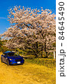 満開の桜の木と青い自動車 84645490