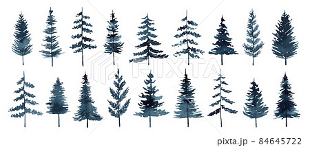 Set of watercolor pines and firs isolated on white background 84645722