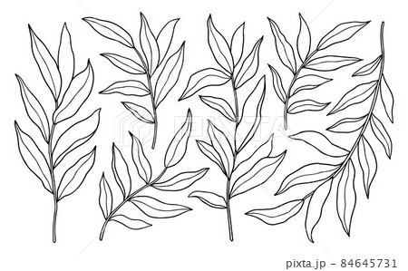 Set of abstract outline twigs with leaves 84645731