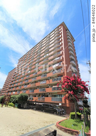 シティコーポ尾頭橋 シティコーポ尾頭橋 84646022