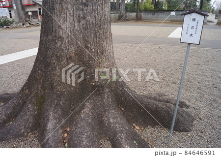 一言主神社 84646591