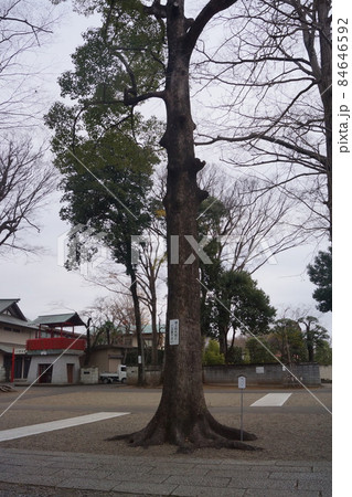 一言主神社 84646592