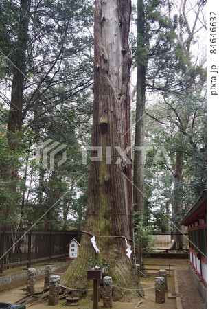 一言主神社 84646632