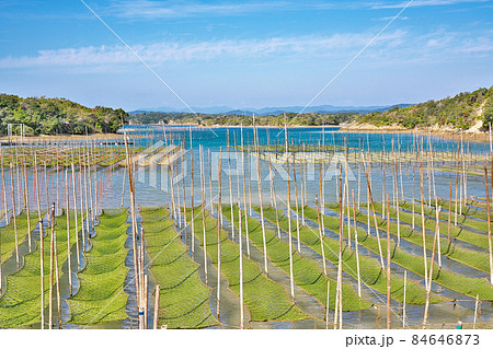 【英虞湾 海苔の養殖】 三重県志摩市大王町ともやま 【英虞湾 海苔の養殖】 三重県志摩市大王町ともやま 84646873