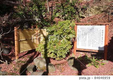 花顔稲荷神社 84646959
