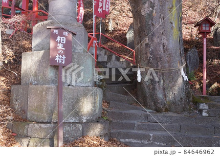 花顔稲荷神社 花顔稲荷神社 84646962