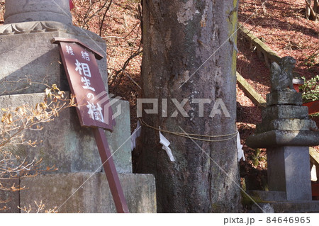花顔稲荷神社 花顔稲荷神社 84646965