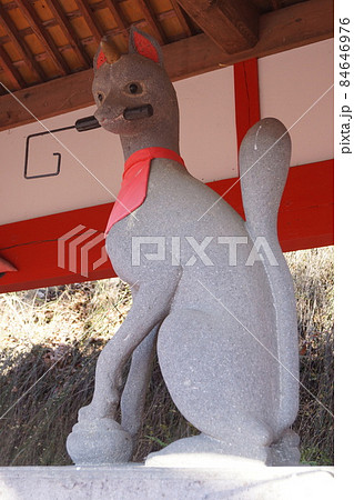 花顔稲荷神社 花顔稲荷神社 84646976