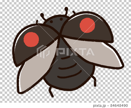 Ladybugs that took off Nami Tento 84648490