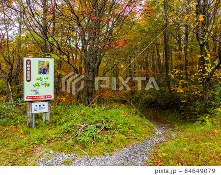 秋の不動滝への散策路入口 (山形県、蔵王温泉) 秋の不動滝への散策路入口 (山形県、蔵王温泉) 84649079