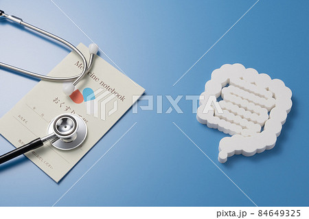 腸の模型 医療イメージ写真 腸の模型 医療イメージ写真 84649325