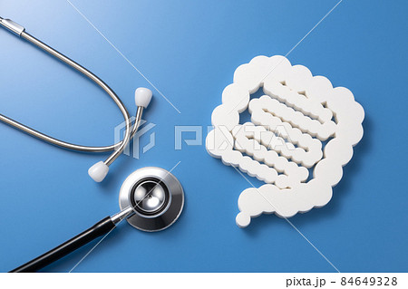 腸の模型　医療イメージ写真　 84649328