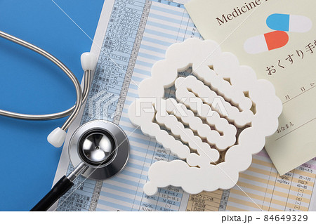 腸の模型 医療イメージ写真 腸の模型 医療イメージ写真 84649329