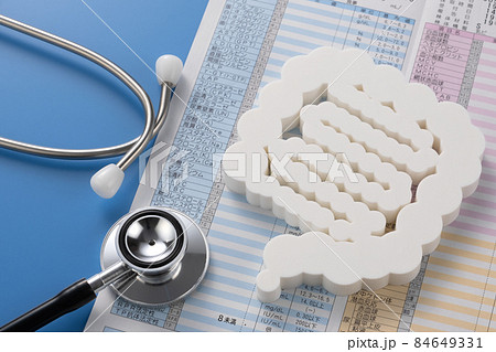 腸の模型　医療イメージ写真　 84649331