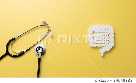 腸の模型 医療イメージ写真 腸の模型 医療イメージ写真 84649338