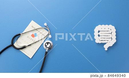 腸の模型 医療イメージ写真 腸の模型 医療イメージ写真 84649340