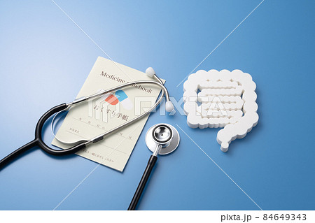 腸の模型　医療イメージ写真　 84649343